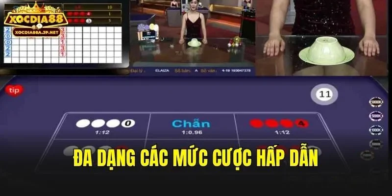Đa dạng các mức cược hấp dẫn